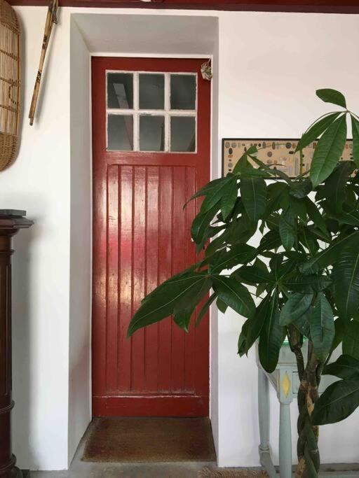 סיבור Appartement En Rez De Jardin מראה חיצוני תמונה